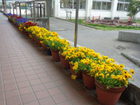 9