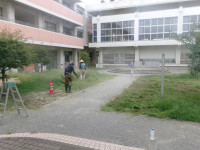 100_3355